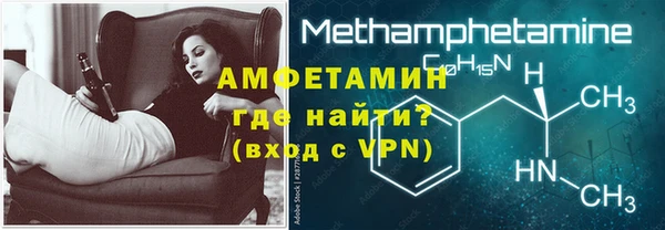 индика Аркадак