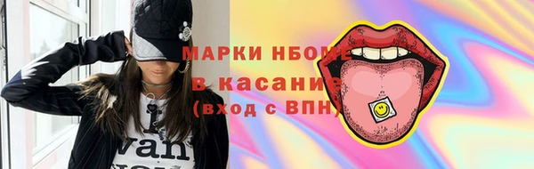 индика Аркадак