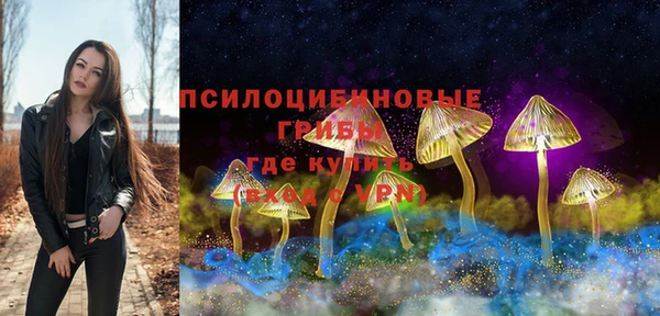 PSILOCYBIN Строитель