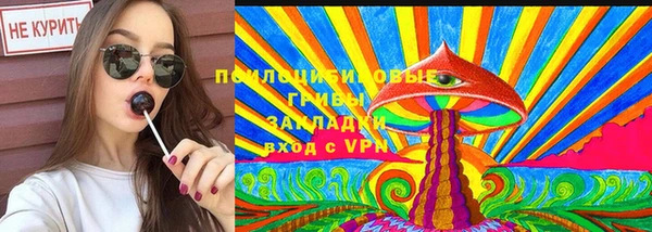 индика Аркадак