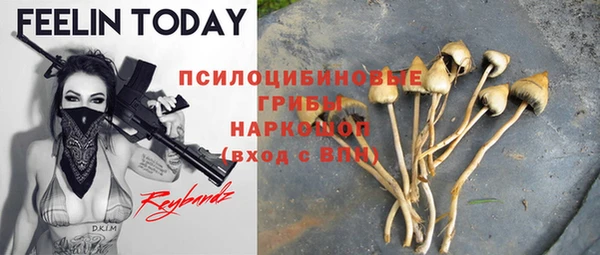 бошки Армянск